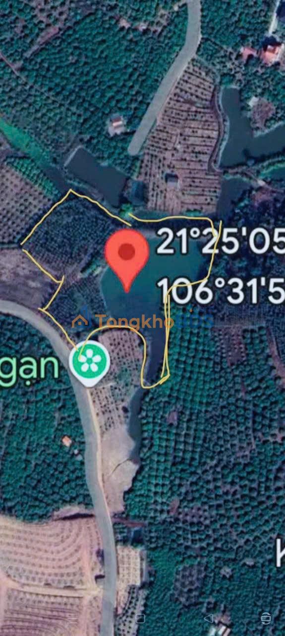 Bán gấp 10.000m² đất trang trại, nghỉ dưỡng tại Lục Ngạn, Bắc Giang - Sẵn ao to