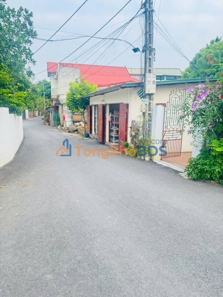 Đất Đấu Giá Lạng Giang 100m² - Sổ Đỏ Sẵn, Gần KCN Lớn