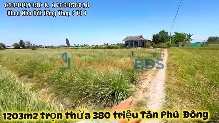 Đất nền Phú Thạnh Tiền Giang 1.203m² 380tr - Sổ đỏ chính chủ