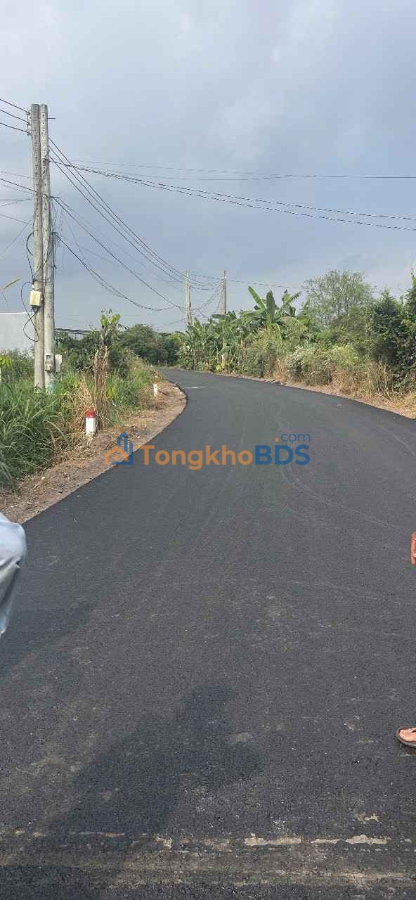 Đất Vàng Xã Đá Bạc, Châu Đức: 3000m² Mặt Tiền Đường Nhựa Giá 4.7 Tỷ