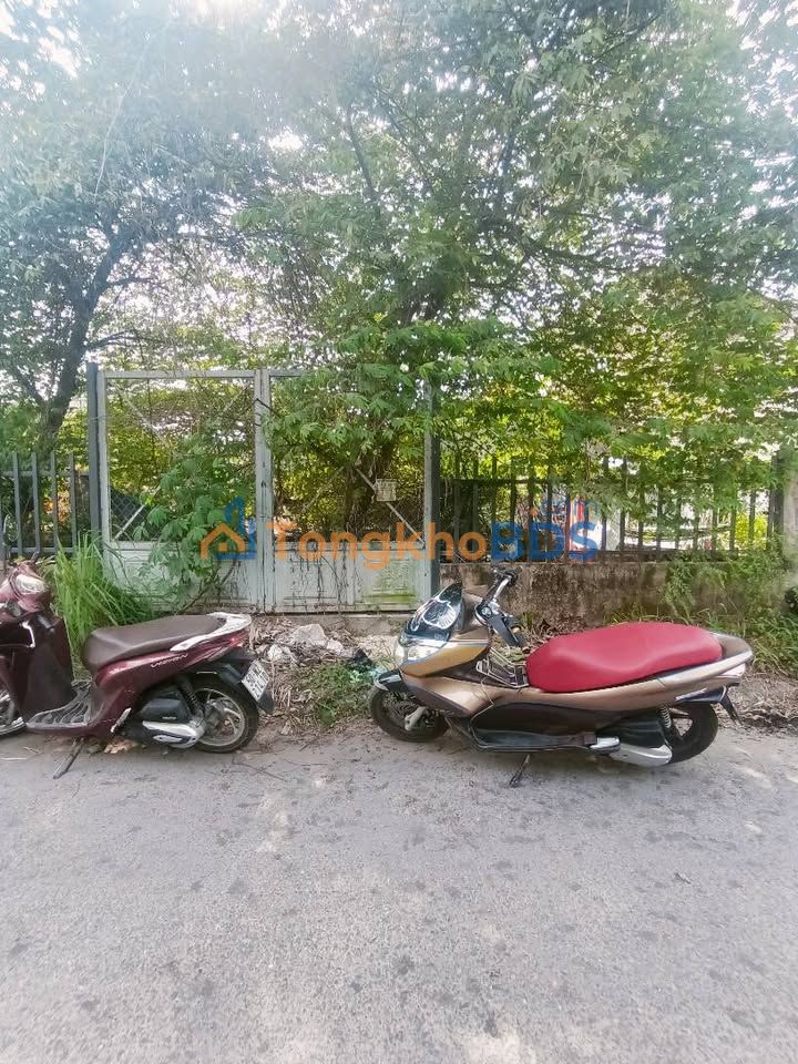 Đất mặt tiền đường 6Đ Bình Chánh 350m² 4.4 tỷ - Sổ đỏ chính chủ