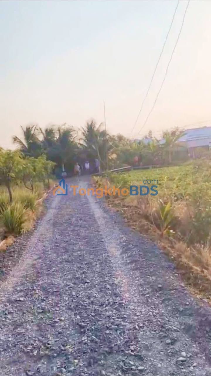 Đất nền Gò Công Đông 180m² 279 triệu - Sổ đỏ chính chủ