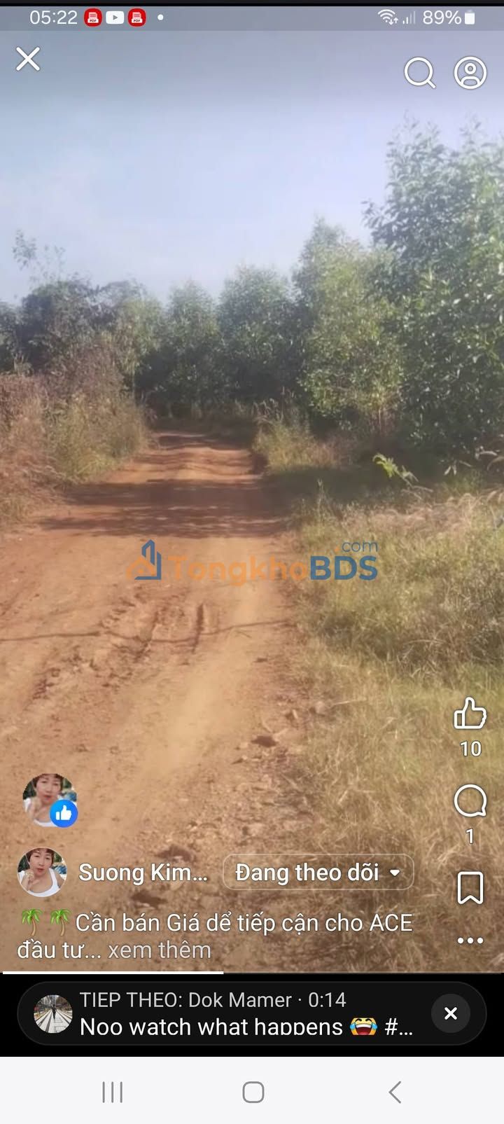 Bán Gấp Đất Farm 10.000m² Hóc Môn - Vị Trí Đắc Địa