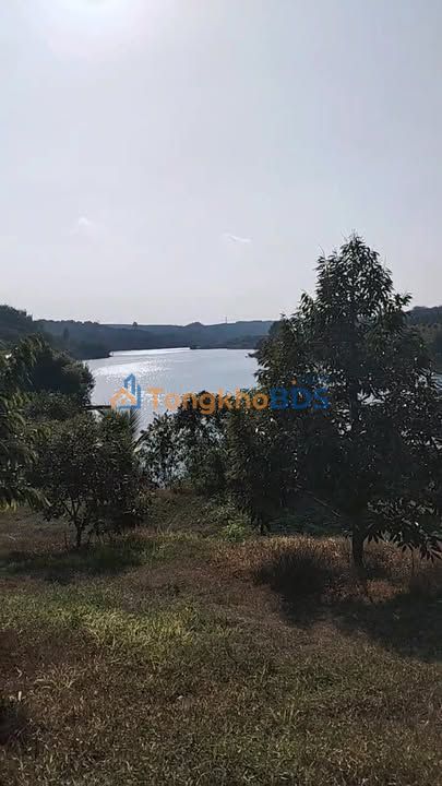 Bán 2.6ha Đất Vườn Sầu Riêng, Chôm Chôm Tại Bình Phước - Giá Tốt