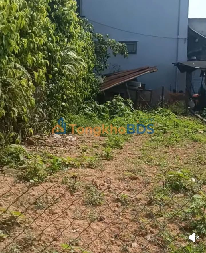 Đất Hòa Thọ Đông 100m² 2.95 tỷ - Xây dựng tự do