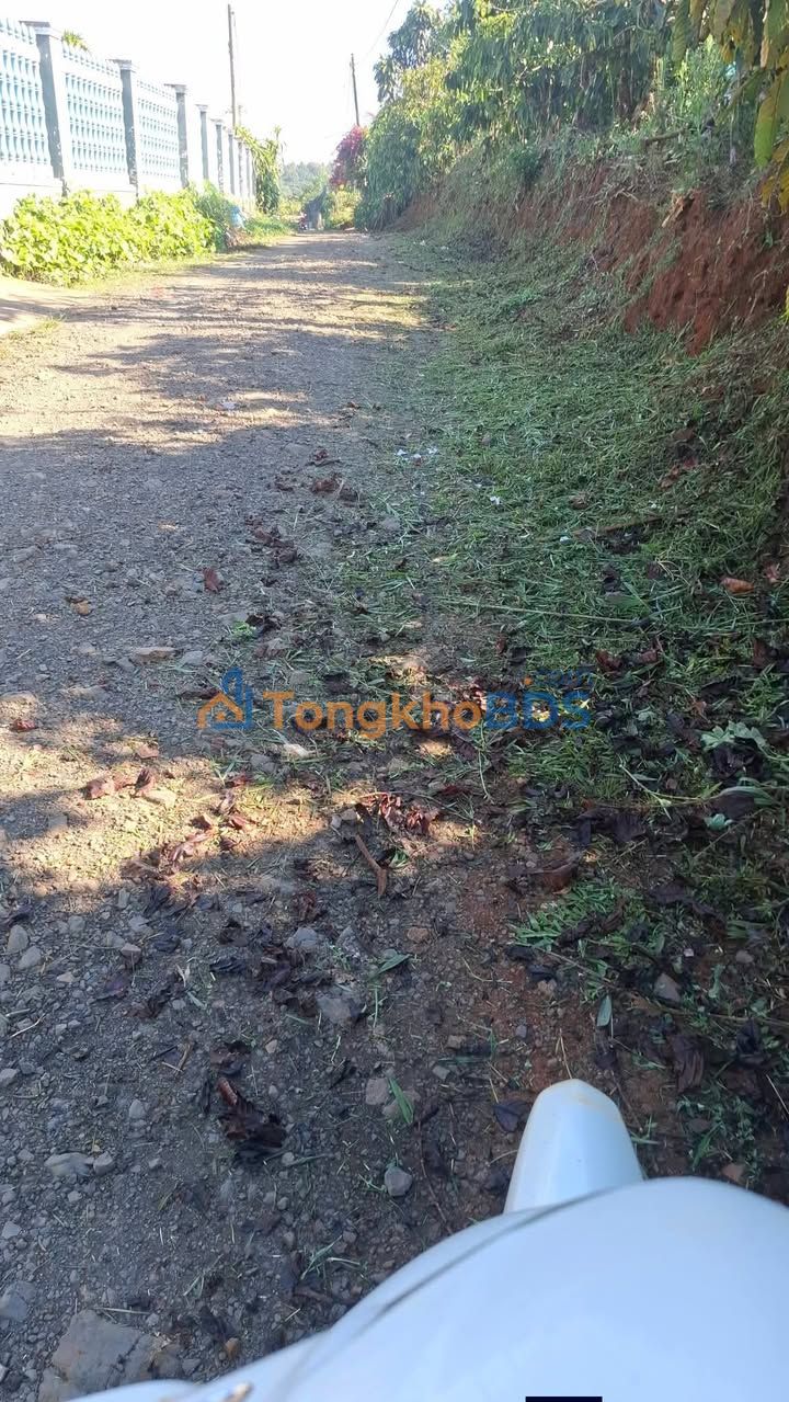 Bán Gấp Vườn 10800m² Kèm Nhà Cấp 4 Tại Di Linh, Lâm Đồng - Sẵn 400m² Thổ Cư