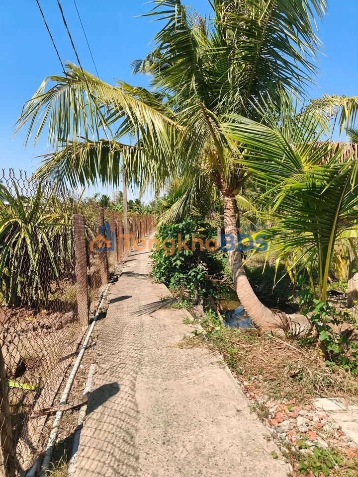 Đất vườn Thanh Bình, Chợ Gạo 560m² 630 triệu - An yên tĩnh lặng