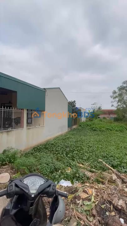 Đất nền Yên Lộc 248m² 600 triệu - Sổ đỏ chính chủ