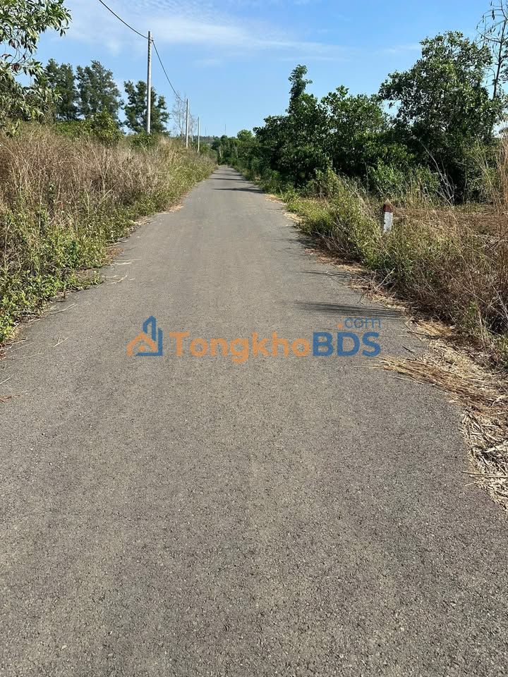 Đất Bình Giã 900m² 1.55 tỷ - Đường to ô tô