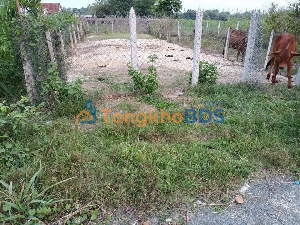 Đất nền Thị trấn Hóc Môn 161m² 1 tỷ - Sổ đỏ chính chủ