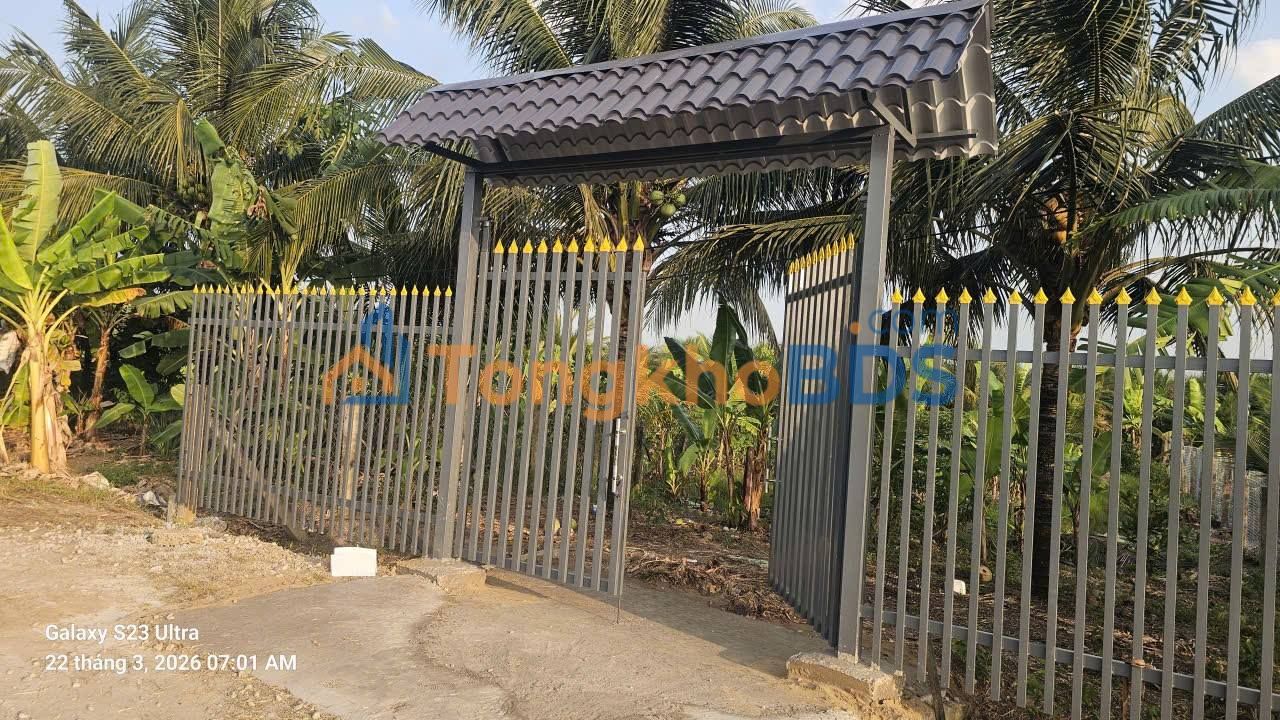 Đất nền Long Định Châu Thành 385m² 650 triệu - Đường ô tô