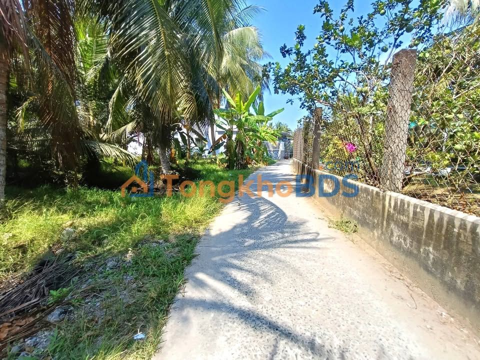 Đất vườn An Thạnh Thủy 2.400m² giá 1,92 tỷ - Sinh thái xanh