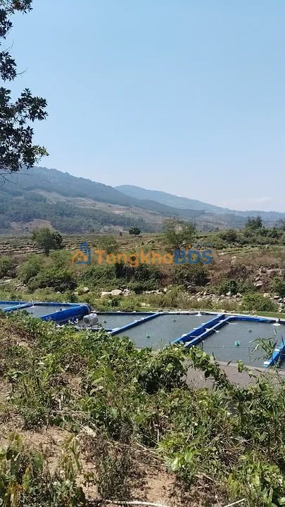 Đất Nền View Sông Đam Rông, Lâm Đồng - 1100m² Sổ Hồng, Giá Đầu Tư 3.2 Tỷ