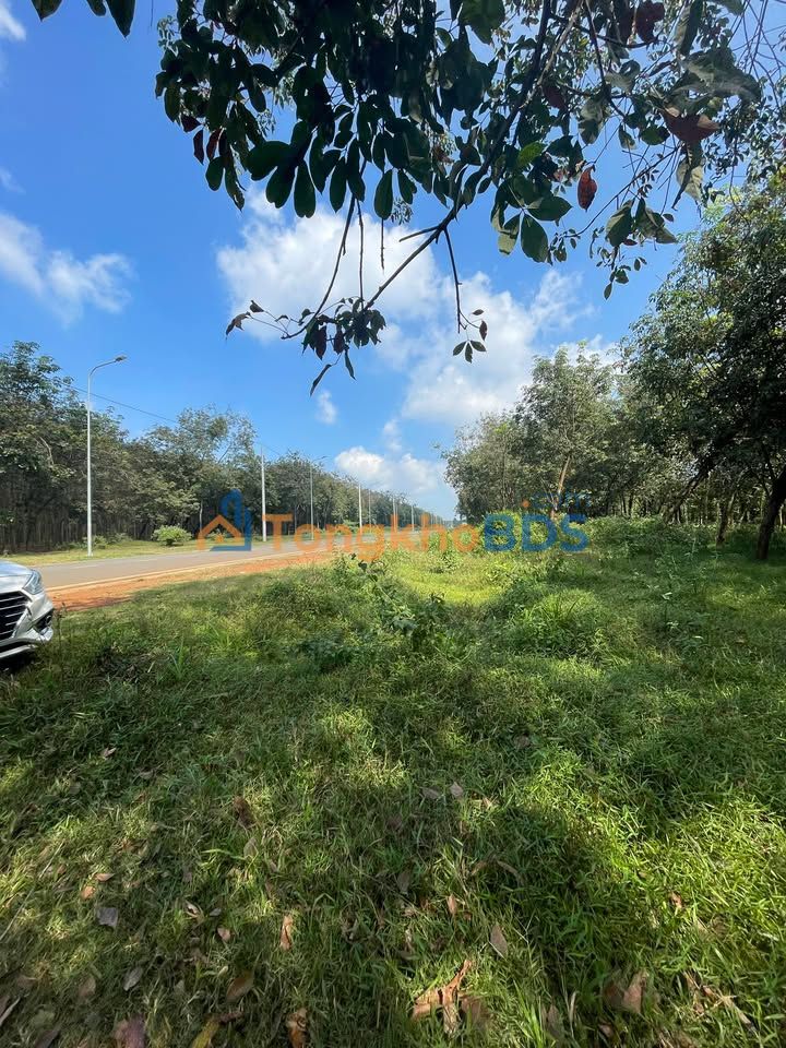 Đất nền Gia Tân 2 5.760m² 8.48 tỷ - Sổ đỏ chính chủ