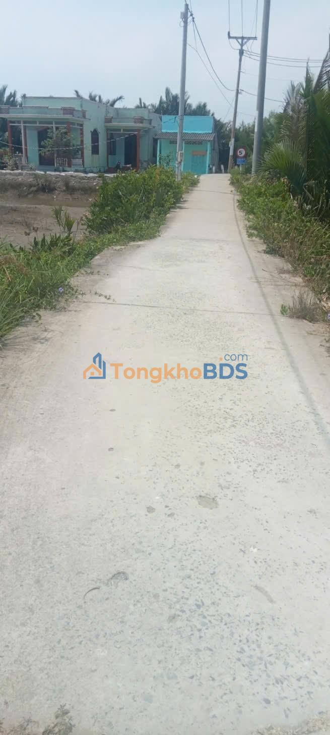 Đất nền An Thới Đông 3.200m² giá mềm – Sổ đỏ chính chủ