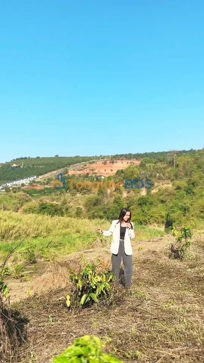 Đất Vườn View Săn Mây Mê Linh, Lâm Đồng – 530m² Giá 1 Tỷ