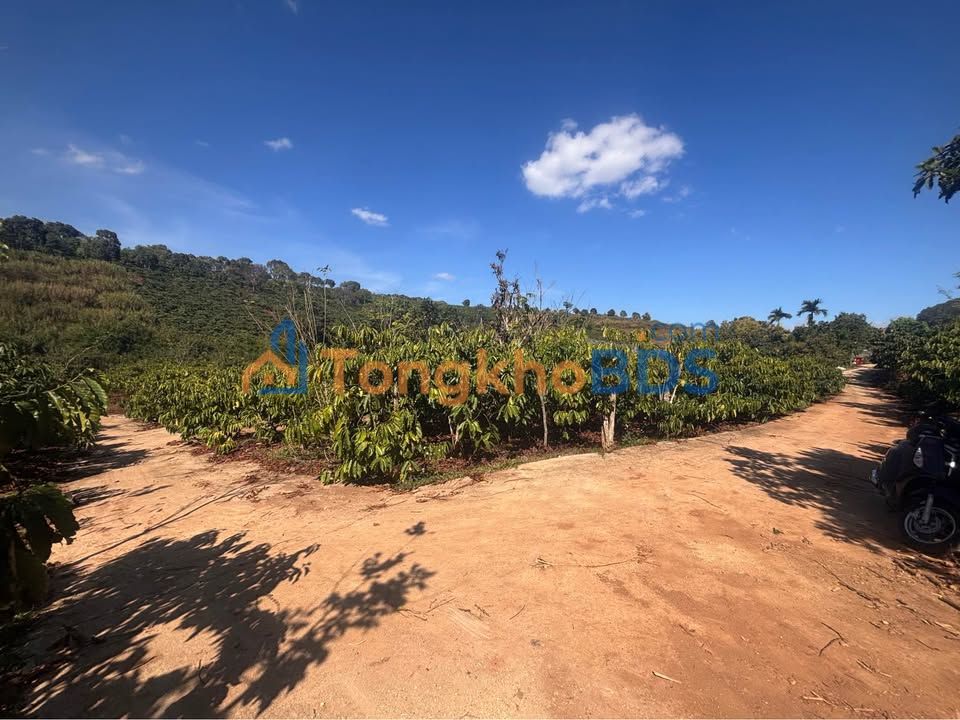 Đất Nền Lâm Đồng 3400m² - Sổ Hồng Thổ Cư, Hai Mặt Tiền Đường