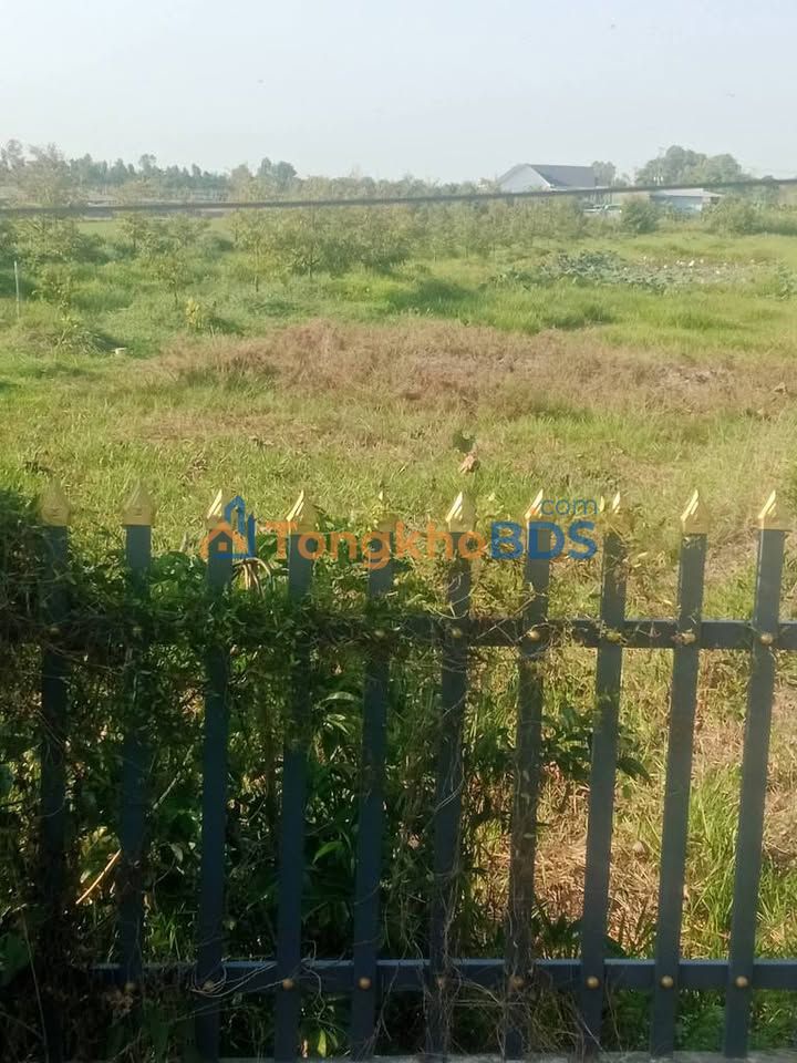 Đất Tân Hội Trung Hồng Ngự 1.300m² 580tr - Sổ riêng chính chủ