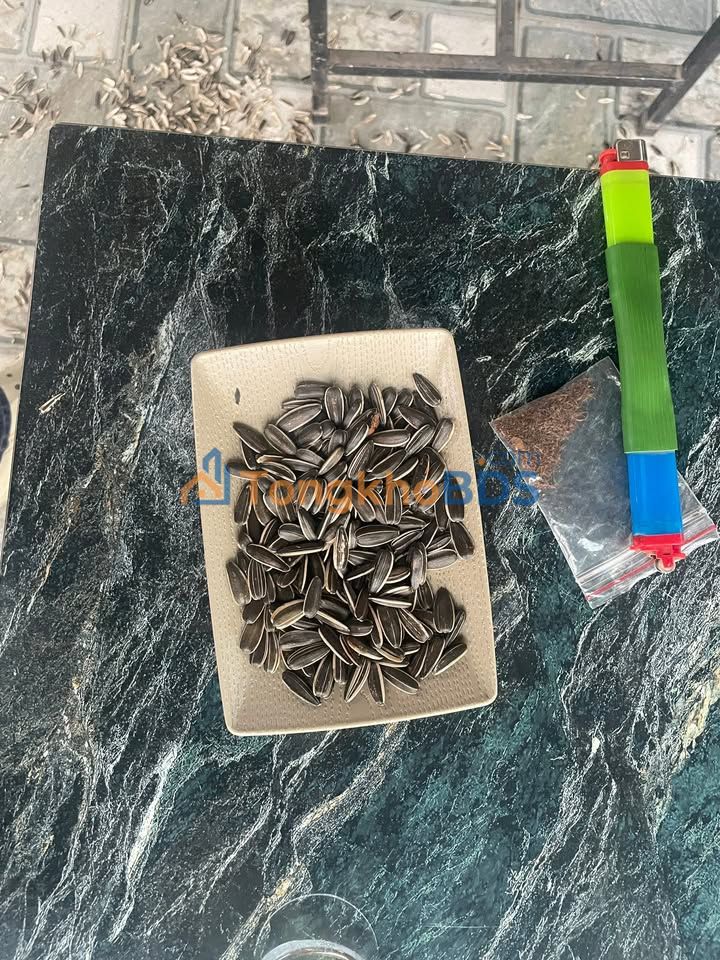 Đất nền Phố Đông Đức 108m² 1,65 tỷ - Sổ đỏ chính chủ