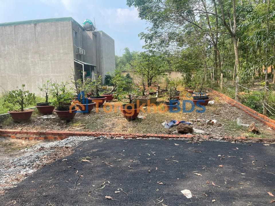 Đất nền Hòa Lợi Bến Cát 290m²/2.2 tỷ - Đường to ô tô