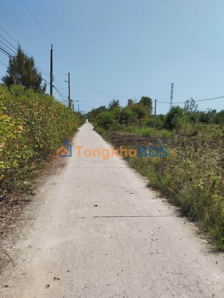 Farm Vĩnh Hậu A Bạc Liêu 40.000m²/4.1 tỷ - Pháp lý rõ ràng