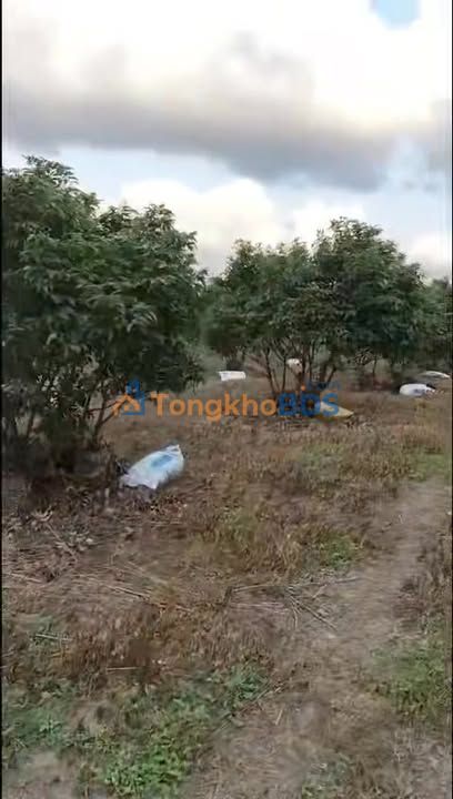 Đất nông trường Tràng Lương 1ha - Sinh thái xanh Đông Triều