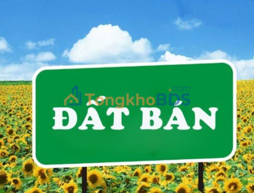 Đất nền 90m² mặt tiền Hải Hà, Tân Phong, Quảng Xương - Sổ đỏ sẵn sàng