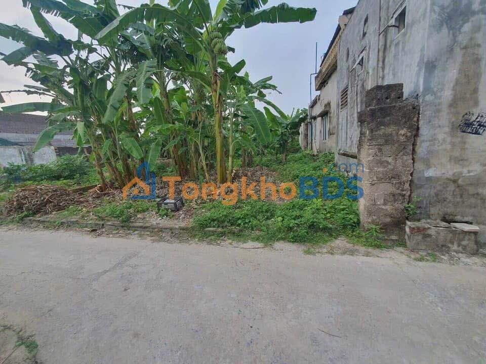 Đất nền Gia Tiến Gia Lộc 400-499 triệu - Hạ tầng hoàn thiện