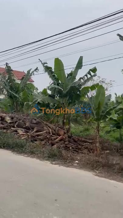 Đất Xây Nhà/Đầu Tư 140m² Mặt Tiền Rộng 8.8m - Bá Thủy, Hải Dương