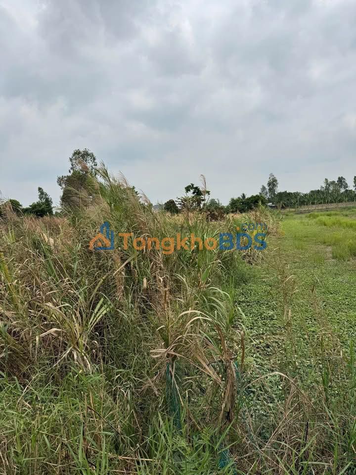 Đất nền Bình Thạnh Trung 1.510m² 1 tỷ - Đường to ô tô