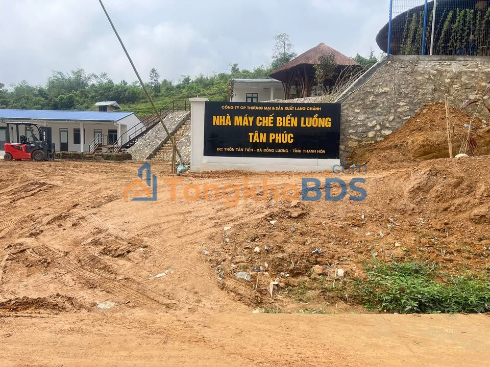 Đất nền Tân Phúc Lang Chánh 1.215m² giá thỏa thuận - Sổ đỏ chính chủ