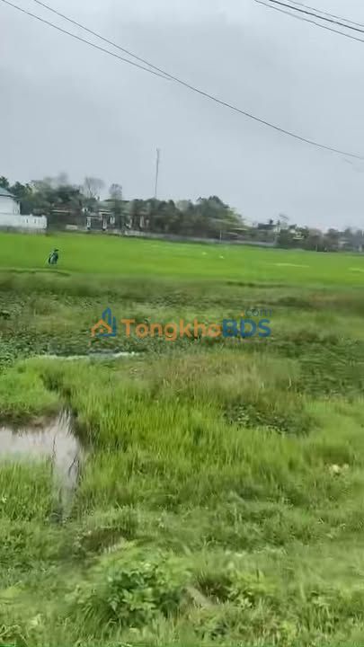 Đất nền TL17 Thạch Xuân 100m² giá thỏa thuận - Tiềm năng tăng giá