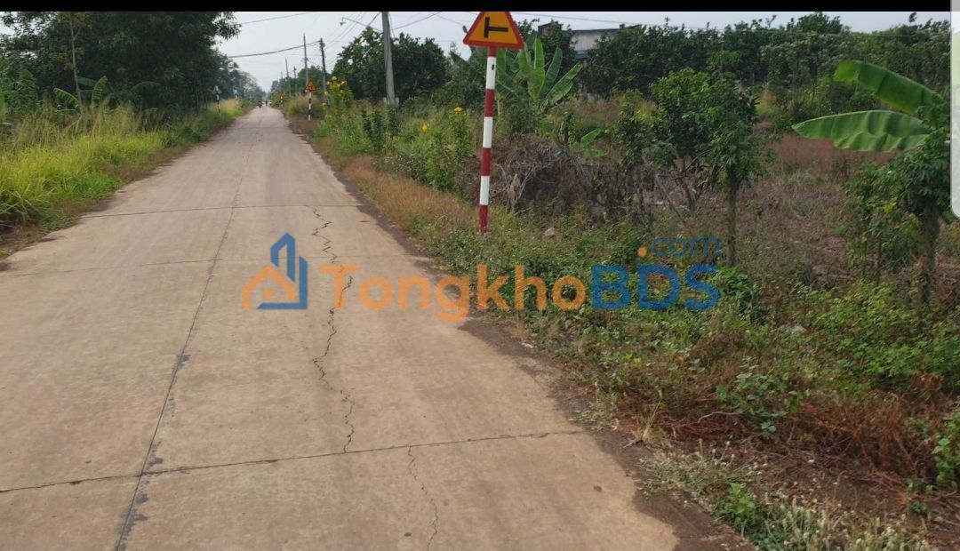 Đất nền 20m² Cẩm Mỹ, Đồng Nai - Giá tốt, Vị trí tiềm năng