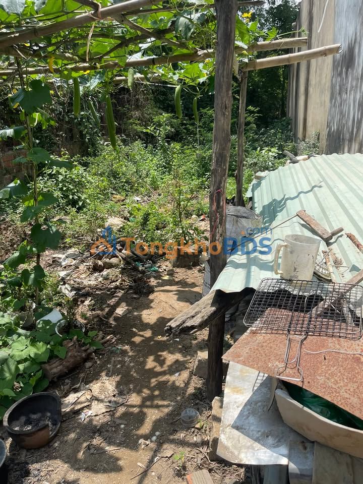 Đất nền Trung Tín 2 Tuy Phước 100m² 700-799 triệu - Giá tốt hiếm có