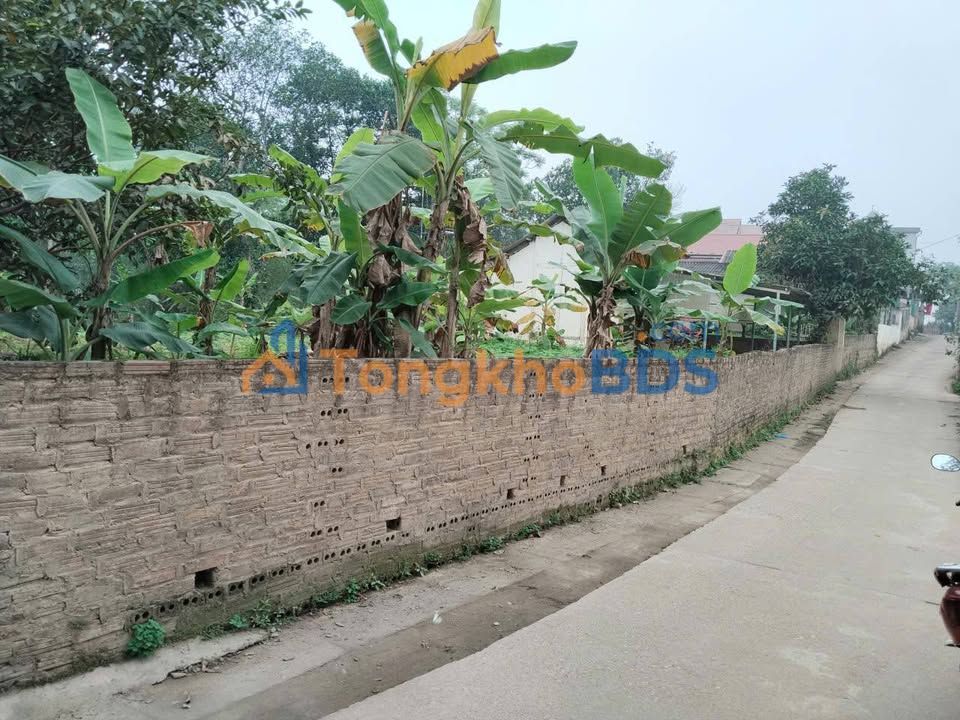 Đất nền Yên Ninh 103m² 700 triệu - Sổ đỏ chính chủ