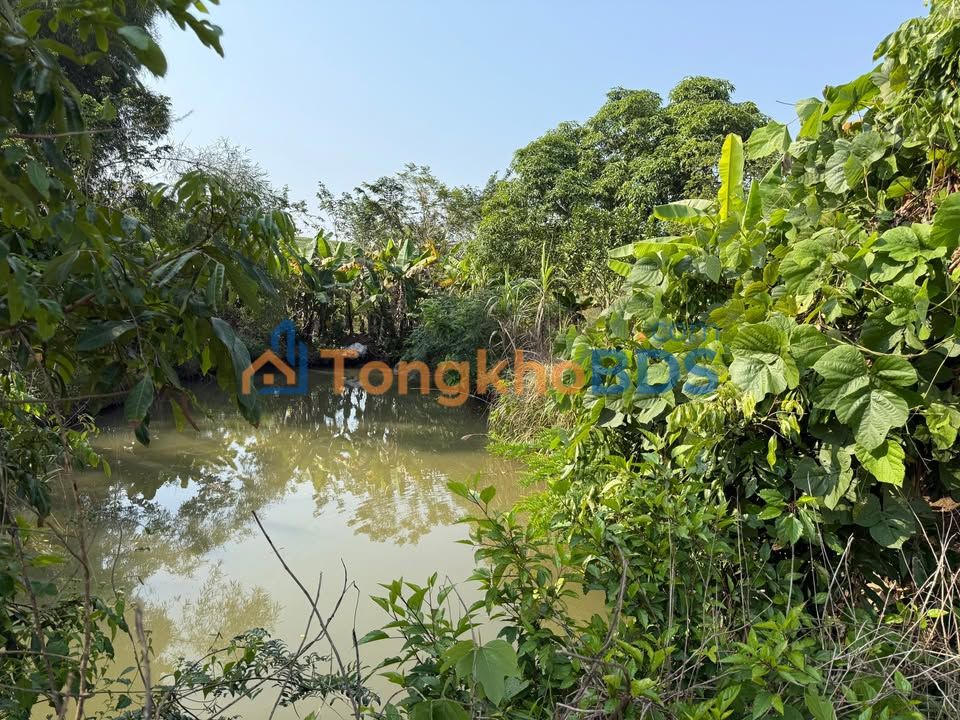 Nhà vườn Phường Yên Ninh 3000m²/1 tỷ - Ô tô vào tận nhà