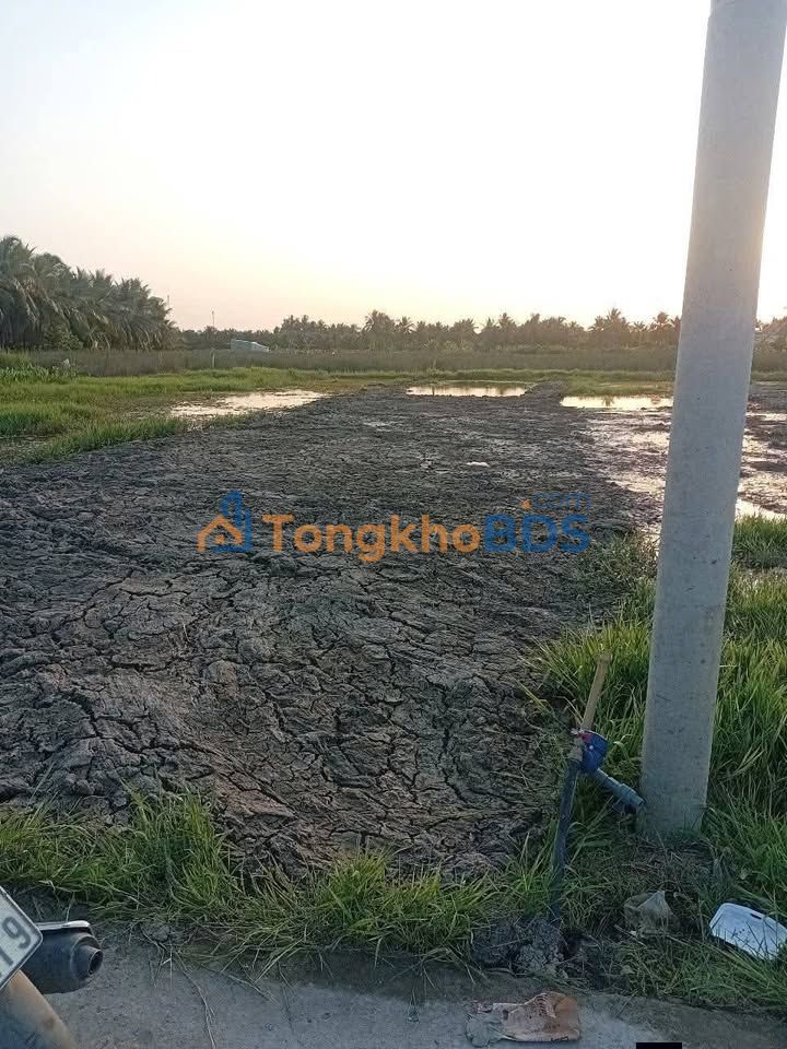 Đất Nền Tân Phước, Tiền Giang - 192m² Thổ Cư, Gần Chợ, Giá 295 Triệu