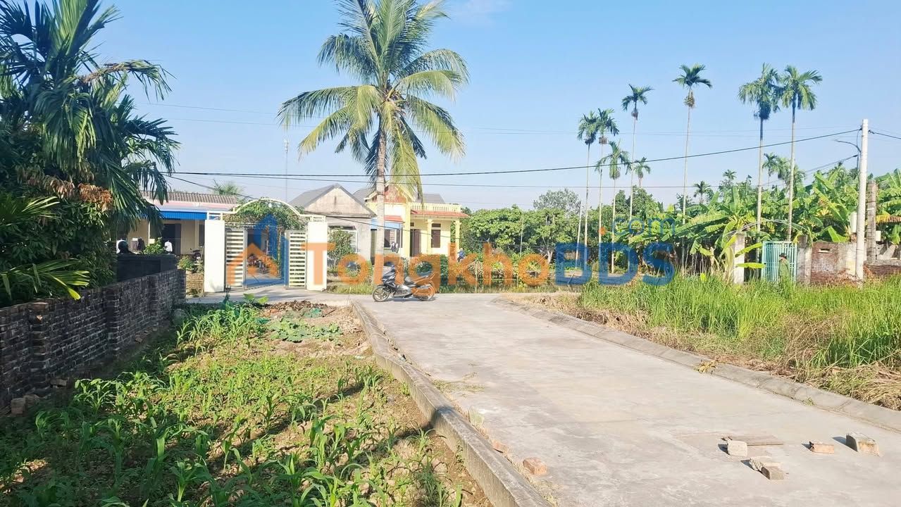 Đất nền 67m² 2 mặt tiền An Lão, Hải Phòng - Sát KCN, BV Quốc Tế