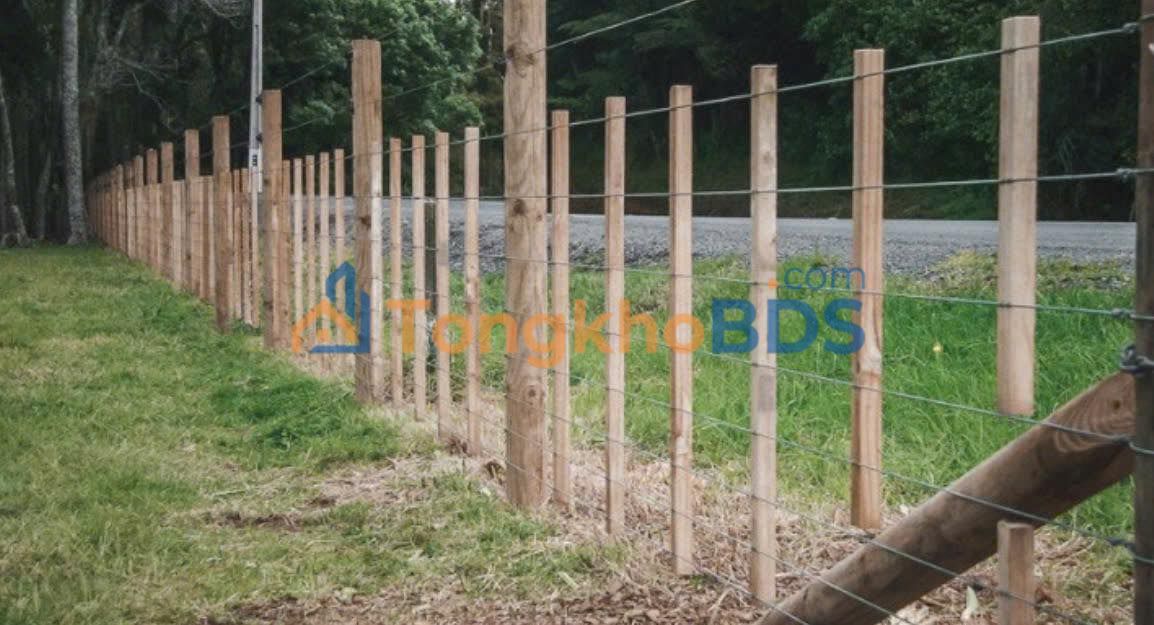 Đất nền Nguyễn Văn Trỗi Cát Tiên 600m² 690tr - Thổ cư 100%