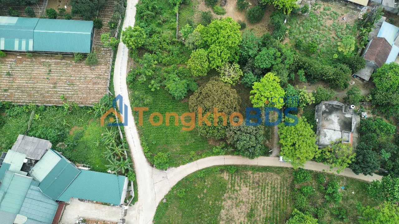 Đất nền Hòa Sơn 1248m² 12.48 tỷ - Đường to ô tô