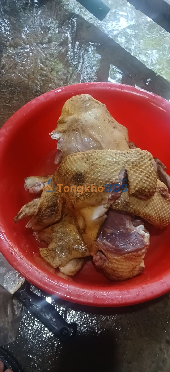 Bán Đất Thổ Cư 50m² Khu Phố Bến Tượng, Thủ Dầu Một - Giá 900 Triệu