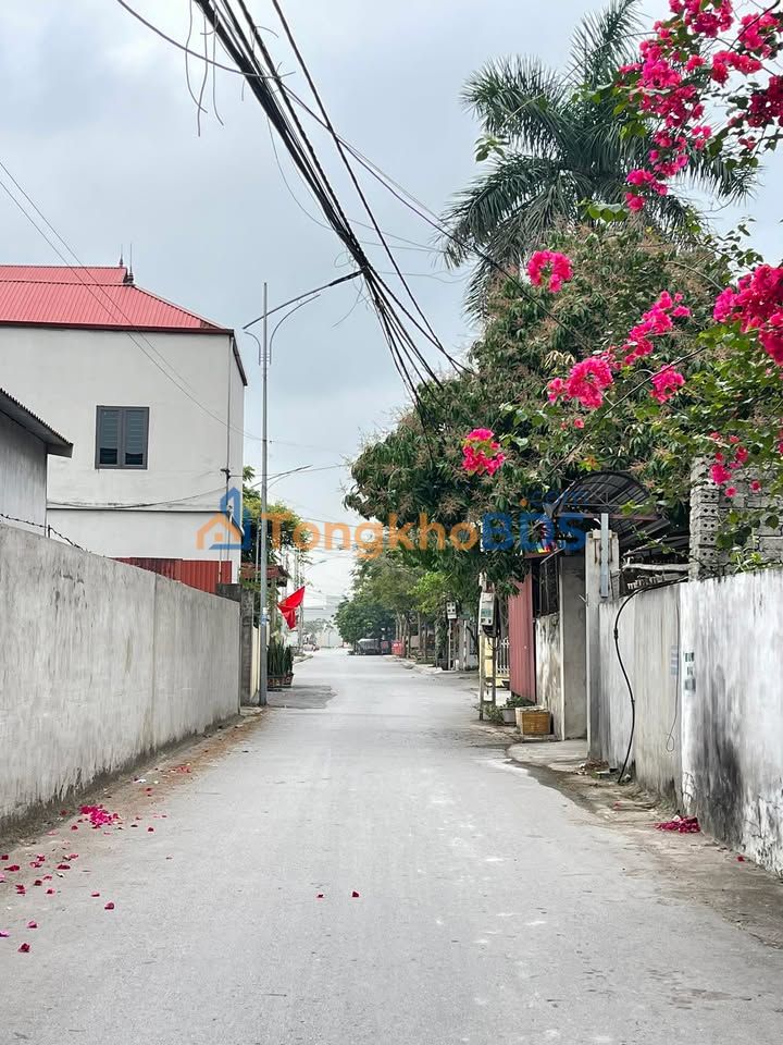 Bán Gấp Đất Trung Tâm Tân Yên 120m² - 1 Tỷ Sở Hữu Ngay!