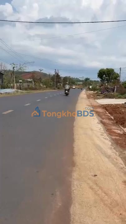 Bán Gấp Farm 4.1ha Gia Lai - Sổ Đỏ Rẻ Hơn Đất Trắng