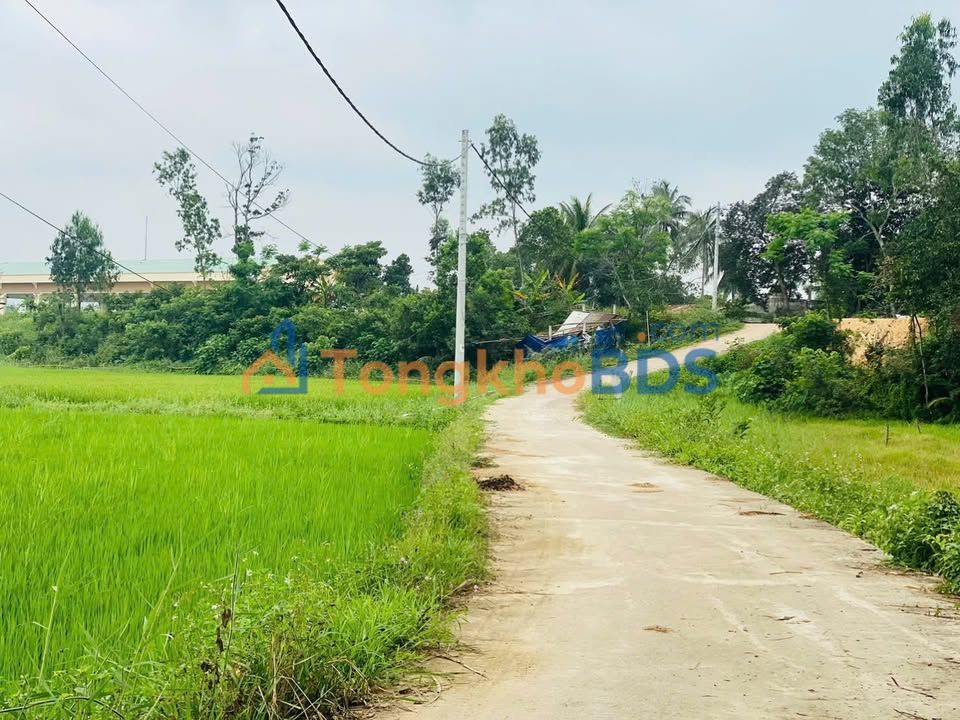 Đất nền Thạch Nham Tây Đà Nẵng 127m² 1.2 tỷ - Sổ đỏ chính chủ