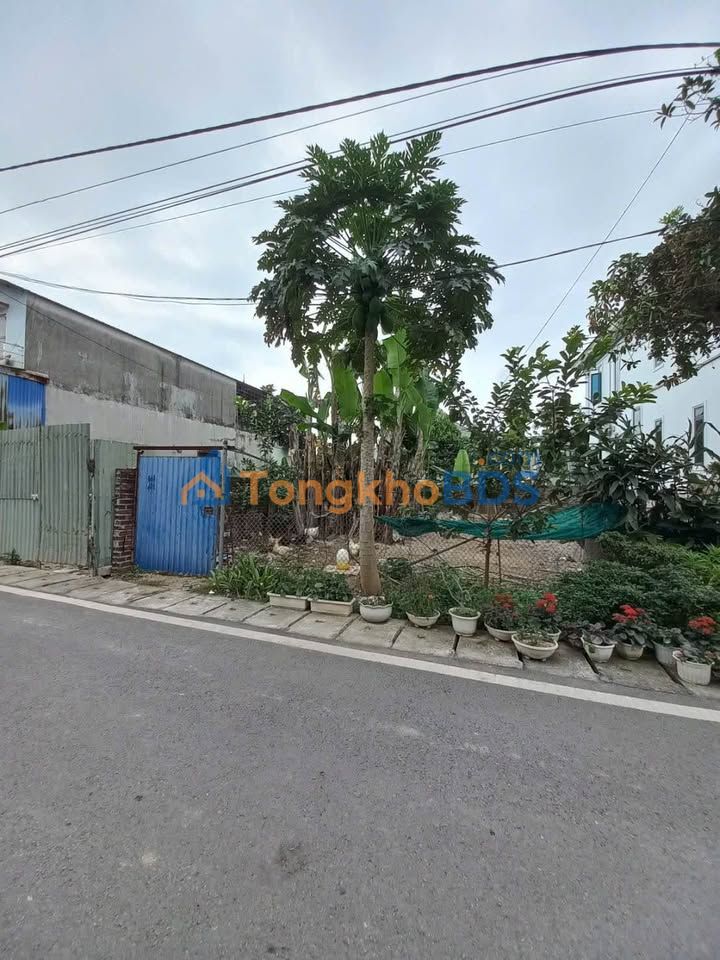 Đất sổ đỏ Phường Hoa Động 88m² – Đường lớn, đầu tư sinh lời