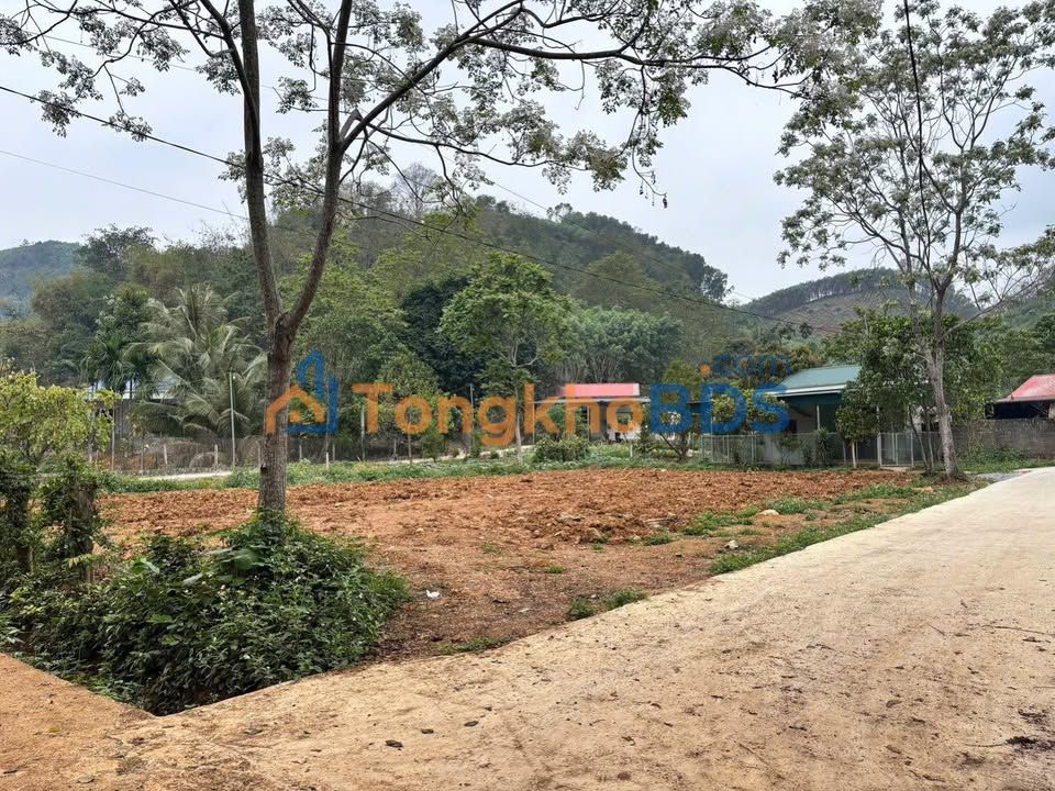Farm 800m² 3 mặt tiền tại Sơn Dương, Tuyên Quang - Cơ hội đầu tư sinh lời