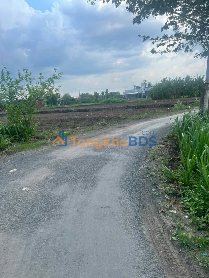 Đất vườn Bình Xuân Gò Công 175m² 430 triệu - Đầu tư dài hạn