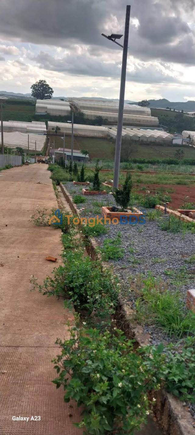 Đất Quảng Lập Đơn Dương 263m² 650 triệu - Thổ cư 100%