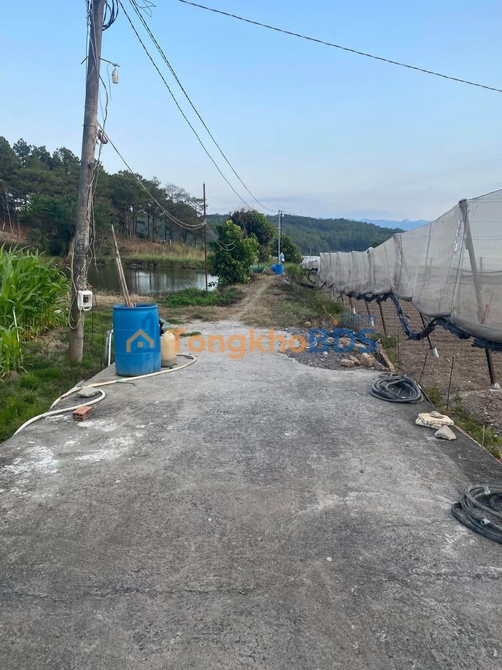 Bán đất Thị trấn Di Linh 4082m² Sổ đỏ sẵn sàng - Lô đất đẹp