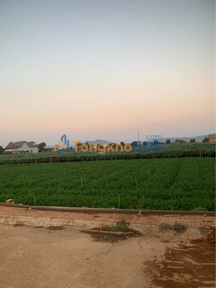 Đất nền Phú Hội Đức Trọng 100m² 1.2 tỷ - Đường to ô tô